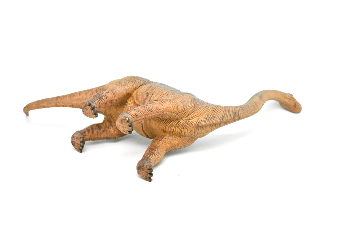 Brachiosaurus, Dinosaur, Jurassic period, Museum Quality, Realistic, Educational, Hand Painted, Lifelike Design, Diorama Model, Replica, Toy, Gift     14 Inches        CWG161 BB37