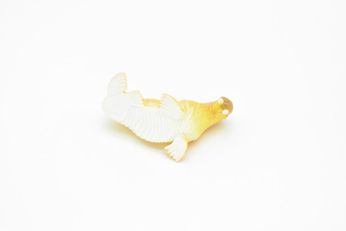 Walrus, Very Nice Plastic Replica    2"     F1146 B164