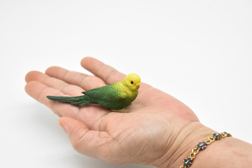 Parakeet, Budgerigar, (Budgies) Green, Museum Quality Plastic Reproduction, Hand Painted  3 1/2"   F4474 B206