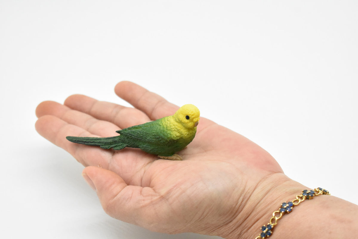 Parakeet, Budgerigar, (Budgies) Green, Museum Quality Plastic Reproduction, Hand Painted  3 1/2"   F4474 B206