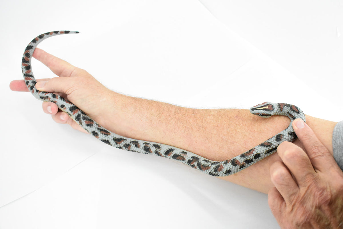 Rock Python Snake, Coiled, Rubber Reptile, Educational, Realistic, Hand Painted, Figure, Lifelike Model, Figurine, Replica, Gift,     26"  