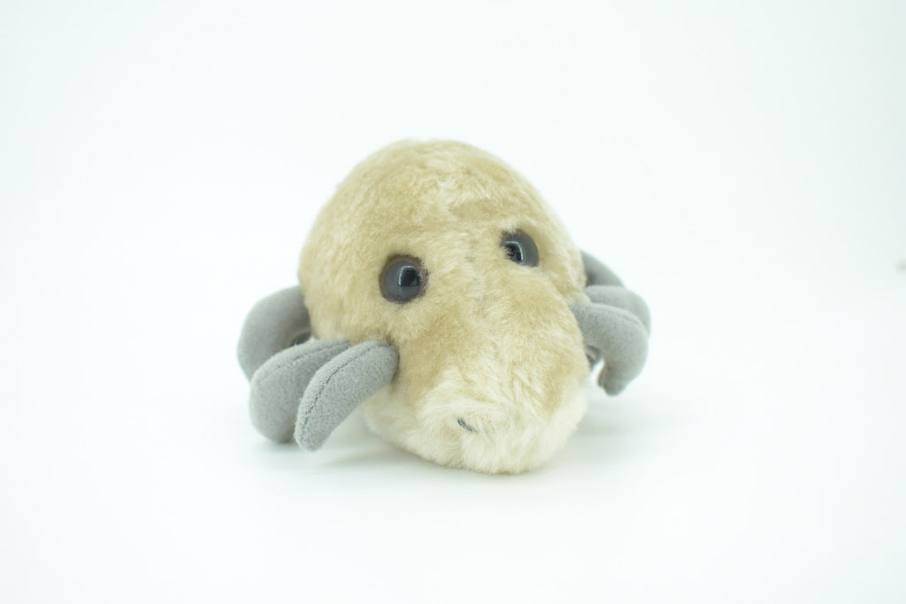 Dust Mite, Dermatophagoides, are microscopic Arachnids, Plush Design, Educational, Figure, Replica, Gift,    5"   F1561 B137