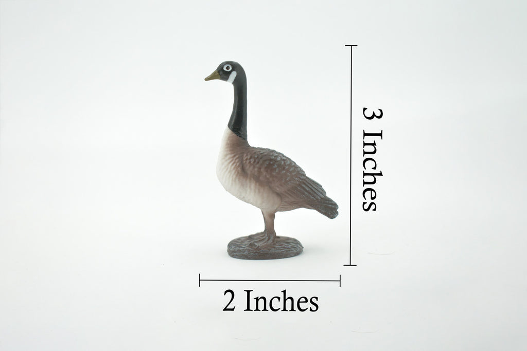 Bird, Canada Goose, Honker, Museum Quality, Hand Painted, Rubber, Educational, Realistic, Figure, Model, Replica, Toy, Kids, Educational, Gift,    3"   CH640 BB168
