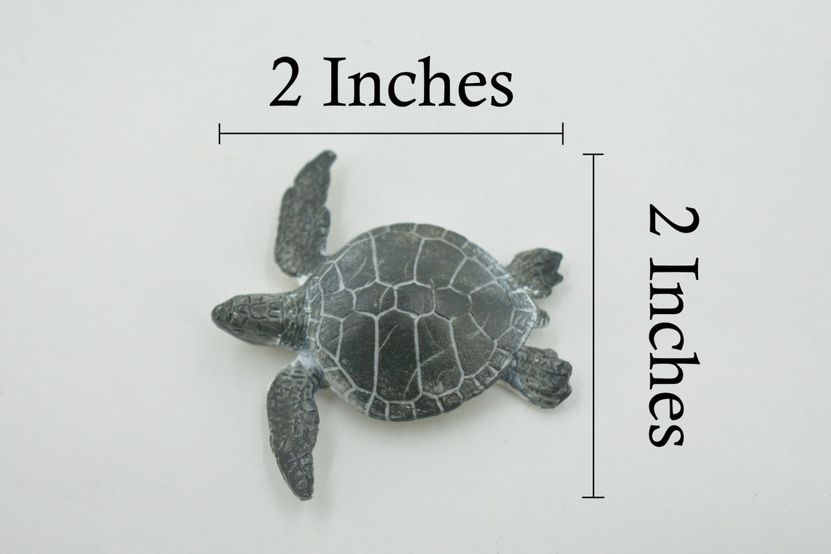 Turtle, Green Sea turtle Baby, Hatchling, High Quality, Hand Painted, Rubber, Realistic, Figure, Model, Toy, Kids, Educational, Gift,     2"      CH659 BB169