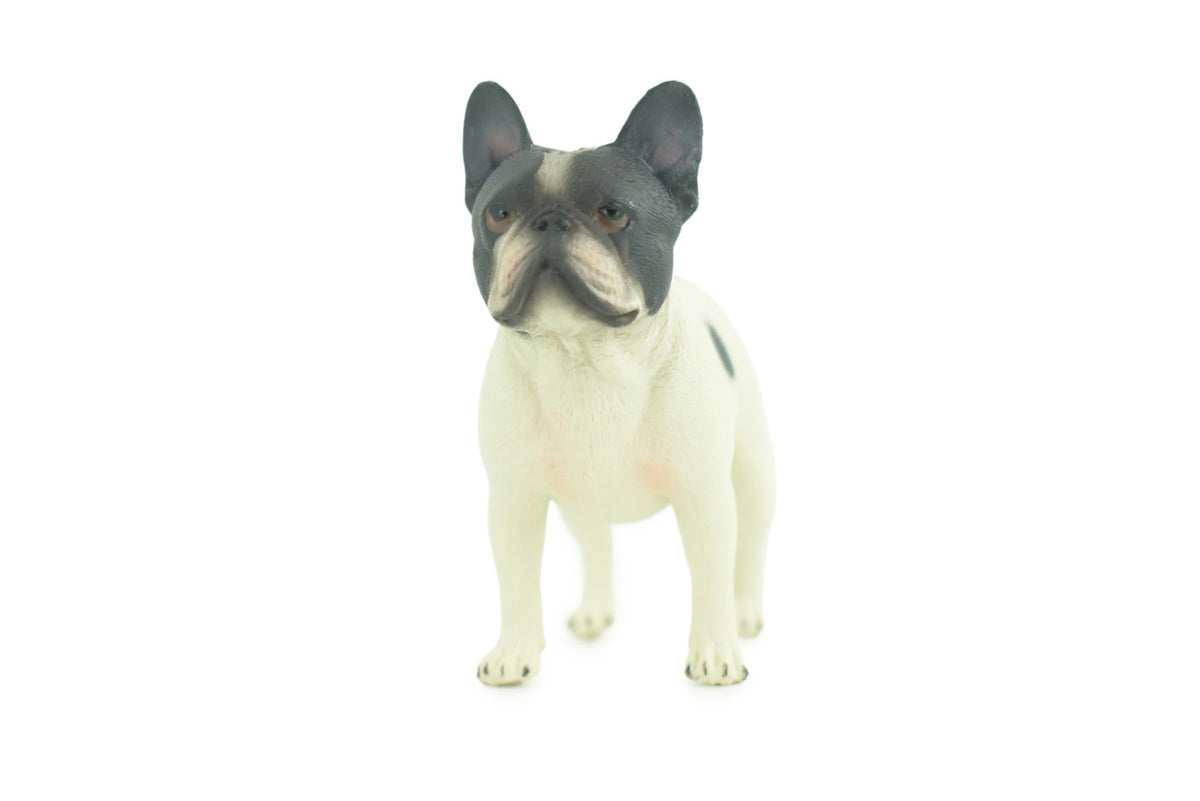 French Bulldog, Museum Quality, Hand Painted, Educational, Rubber Canine, Realistic, K9, Toys, Kids, Gift, 3 1/2 Inches. CH773 BB193