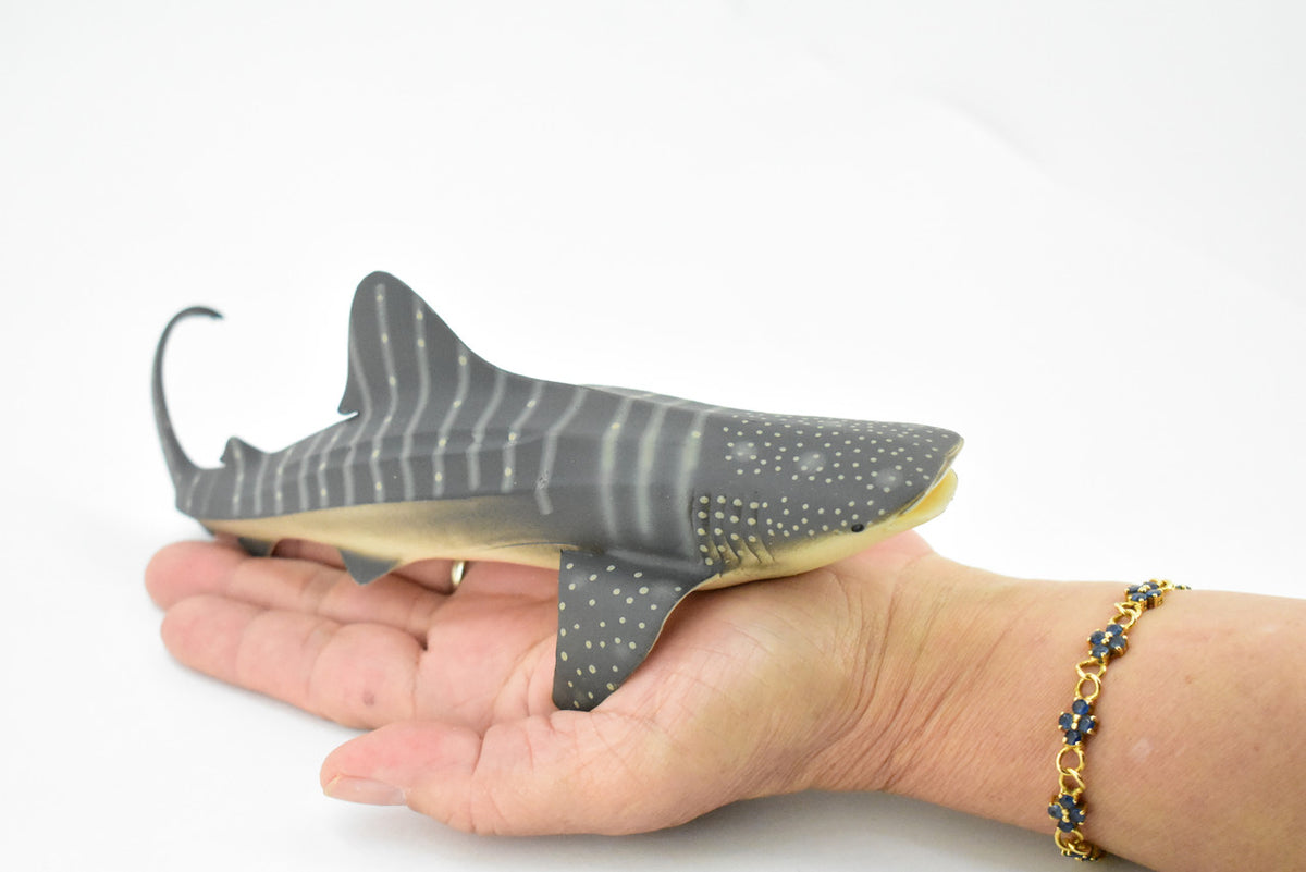 Whale Shark, Gentle Giant, Museum Quality, Educational, Hand Painted, Rubber Fish, Realistic Toy Figure, Diorama Model, Replica, Kids,  8 Inches.