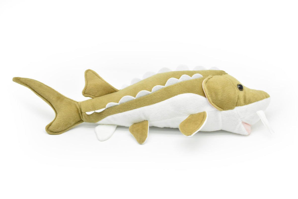 Sturgeon, Very Nice Plush Fish, Stuffed Animal, Educational, Toy, Kids, Realistic Figure, Gift,     17"