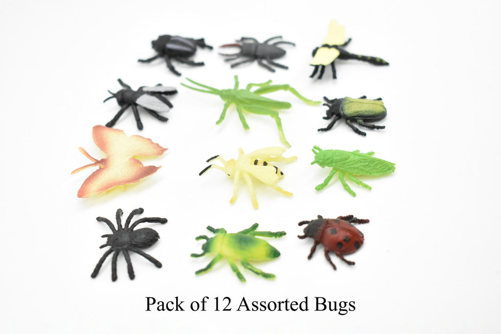 Insects, Pack of 12, Very Nice Plastic Reproduction, All About 1" in Size    F6092 B381