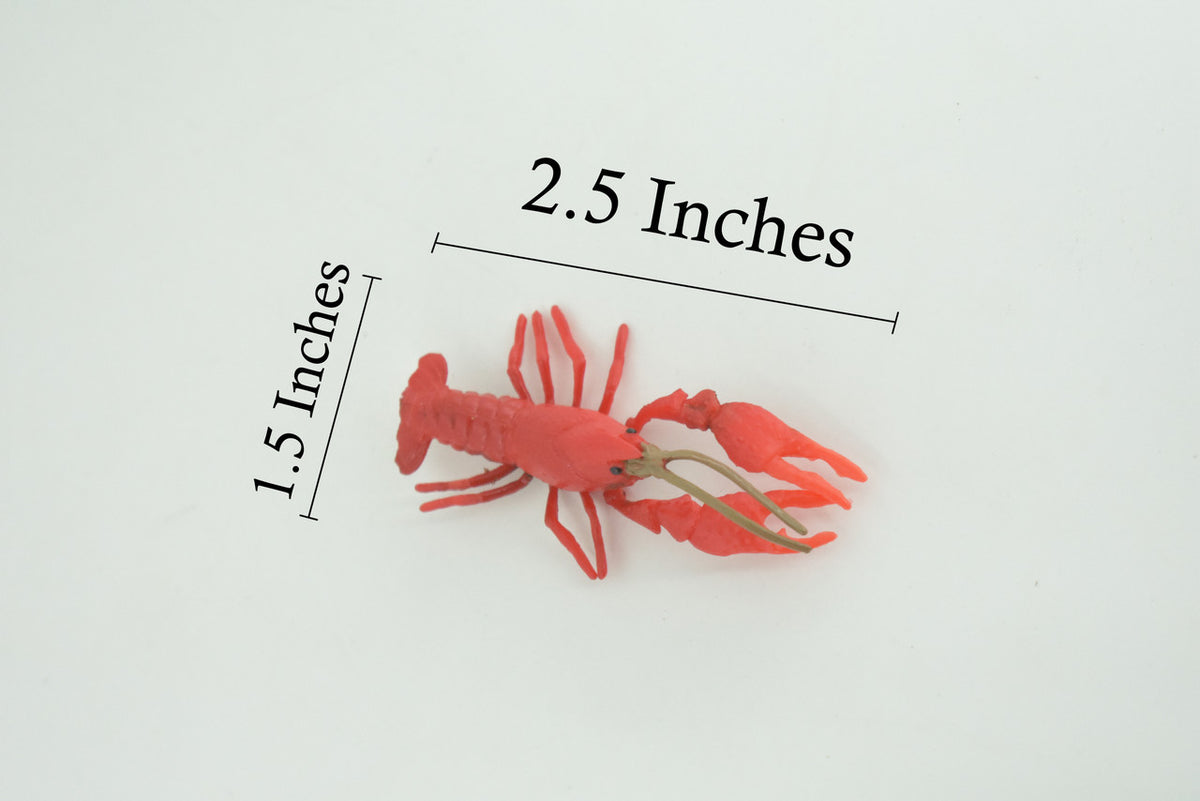  Crayfish, Crawfish, Crawdads, High Quality, Hand Painted, Rubber, Crustaceans, Realistic, Diorama, Model, Lifelike, Toy, Kids, Educational, Gift, 2 1/2 Inches. CH1018 BB218 