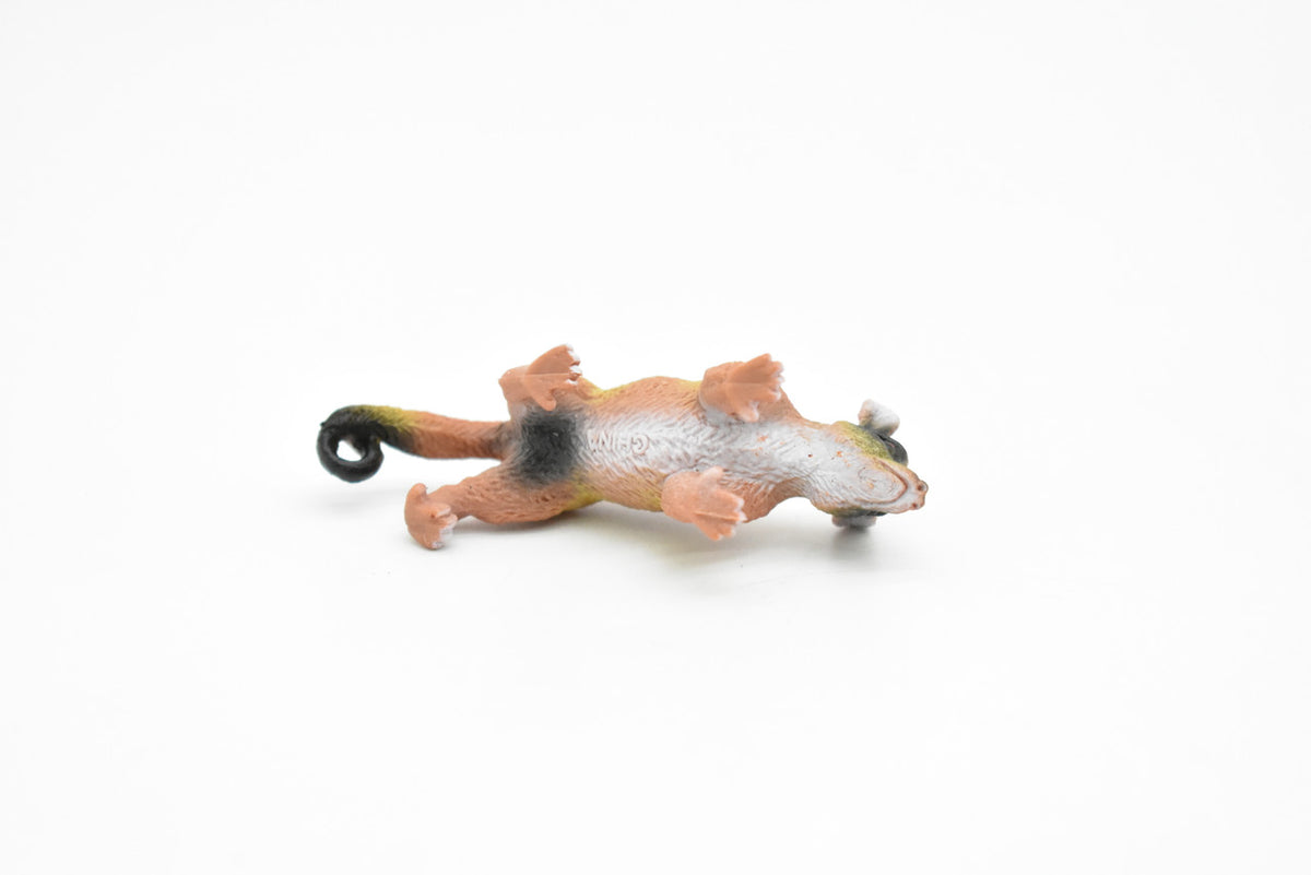 Brazilian aardvark, Coatimundi, Coati, Very Nice Plastic Design, Animal Figure, Educational, Figure, Lifelike, Diorama Model, Replica, Toy, Kids, Gift,   2 1/2 Inches.    CWG133 B238