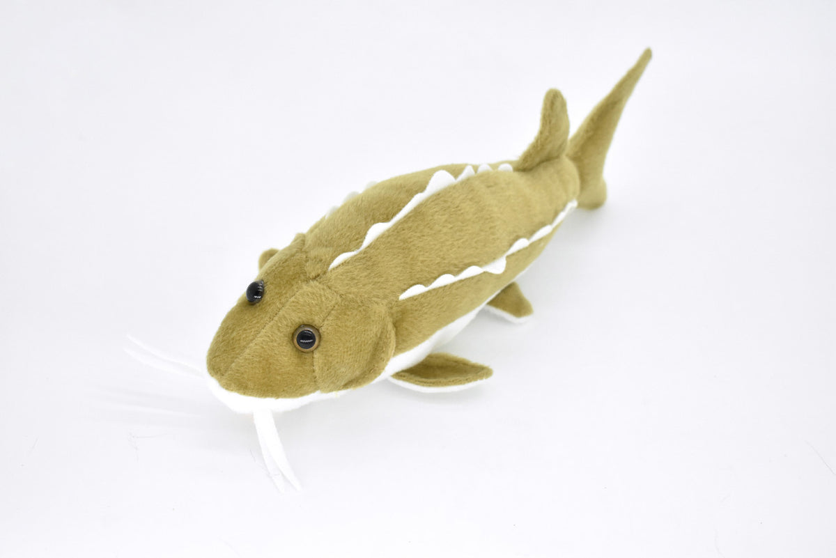Sturgeon Plush Toy, Realistic Stuffed Animal, Soft Plush Fish, Stuffed Fish, Educational, Toy, Kids, Fishing Gift,     10"   F2002 BB53
