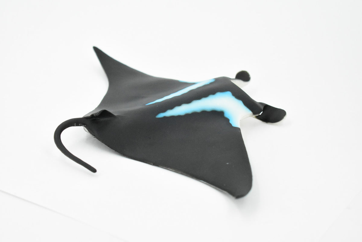 Manta Ray, Devil Fish, Museum Quality, Educational, Rubber Fish, Hand Painted, Realistic Toy Figure, Diorama Model, Kids,  9 Inches. 