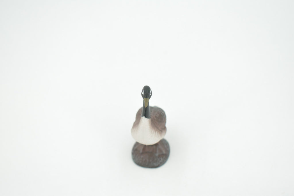 Bird, Canada Goose, Honker, Museum Quality, Hand Painted, Rubber, Educational, Realistic, Figure, Model, Replica, Toy, Kids, Educational, Gift,    3"   CH640 BB168