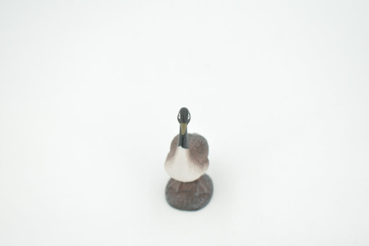 Bird, Canada Goose, Honker, Museum Quality, Hand Painted, Rubber, Educational, Realistic, Figure, Model, Replica, Toy, Kids, Educational, Gift,    3"   CH640 BB168
