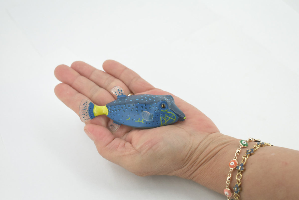Fish, Box Puffer, Pufferfish, Museum Quality, Hand Painted, Rubber estuarine fish, Realistic, Figure, Model, Replica, Toy, Kids, Educational, Gift,     4"     CH516  BB157