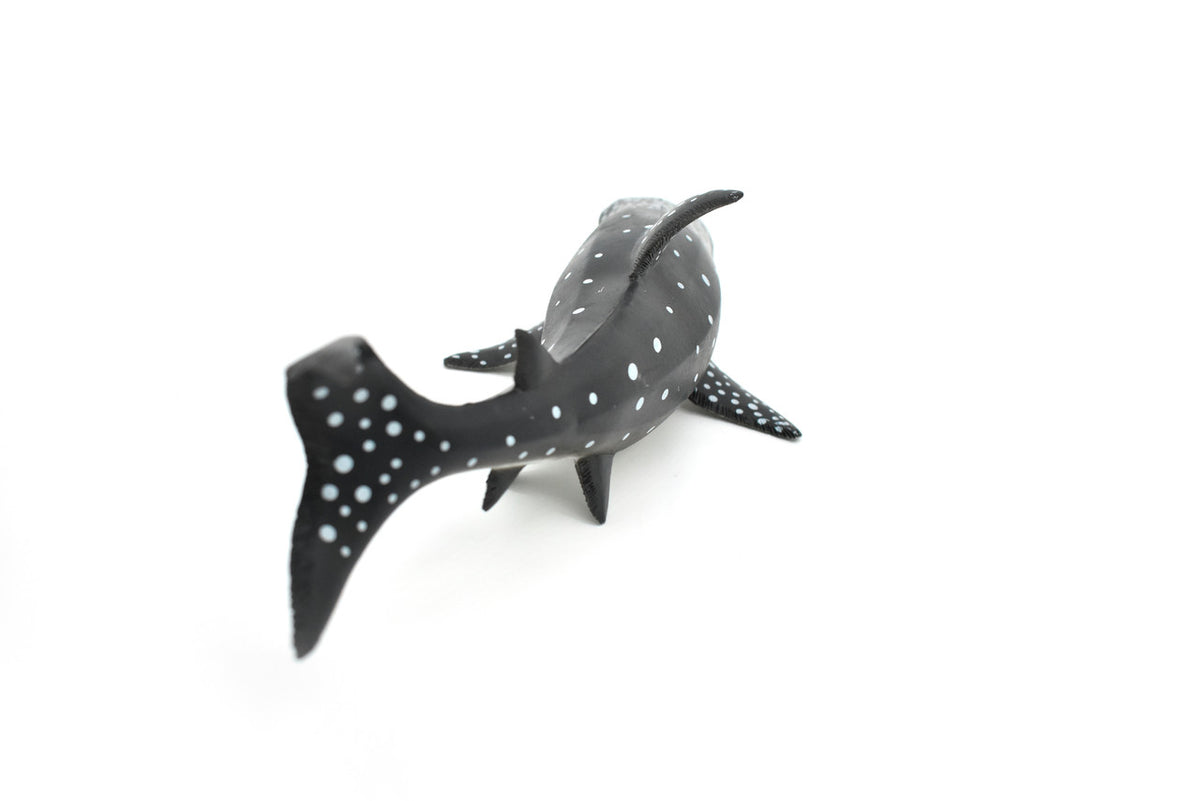 Whale Shark, Very Nice, Hand Painted, Rubber, Marine Fish, Educational, Realistic, Figure, Replica, Toy, Kids, Educational, Gift,      9"    F096 B494