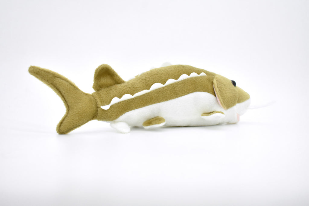 Sturgeon Plush Toy, Realistic Stuffed Animal, Soft Plush Fish, Stuffed Fish, Educational, Toy, Kids, Fishing Gift,     10"   F2002 BB53
