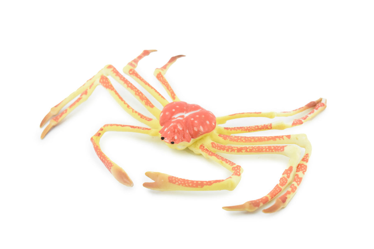 Crab, Spider Crab, Museum Quality, Hand Painted, Rubber Crustaceans, Realistic Toy Figure, Model, Replica, Kids, Educational, Gift,    7"    CH271 BB124