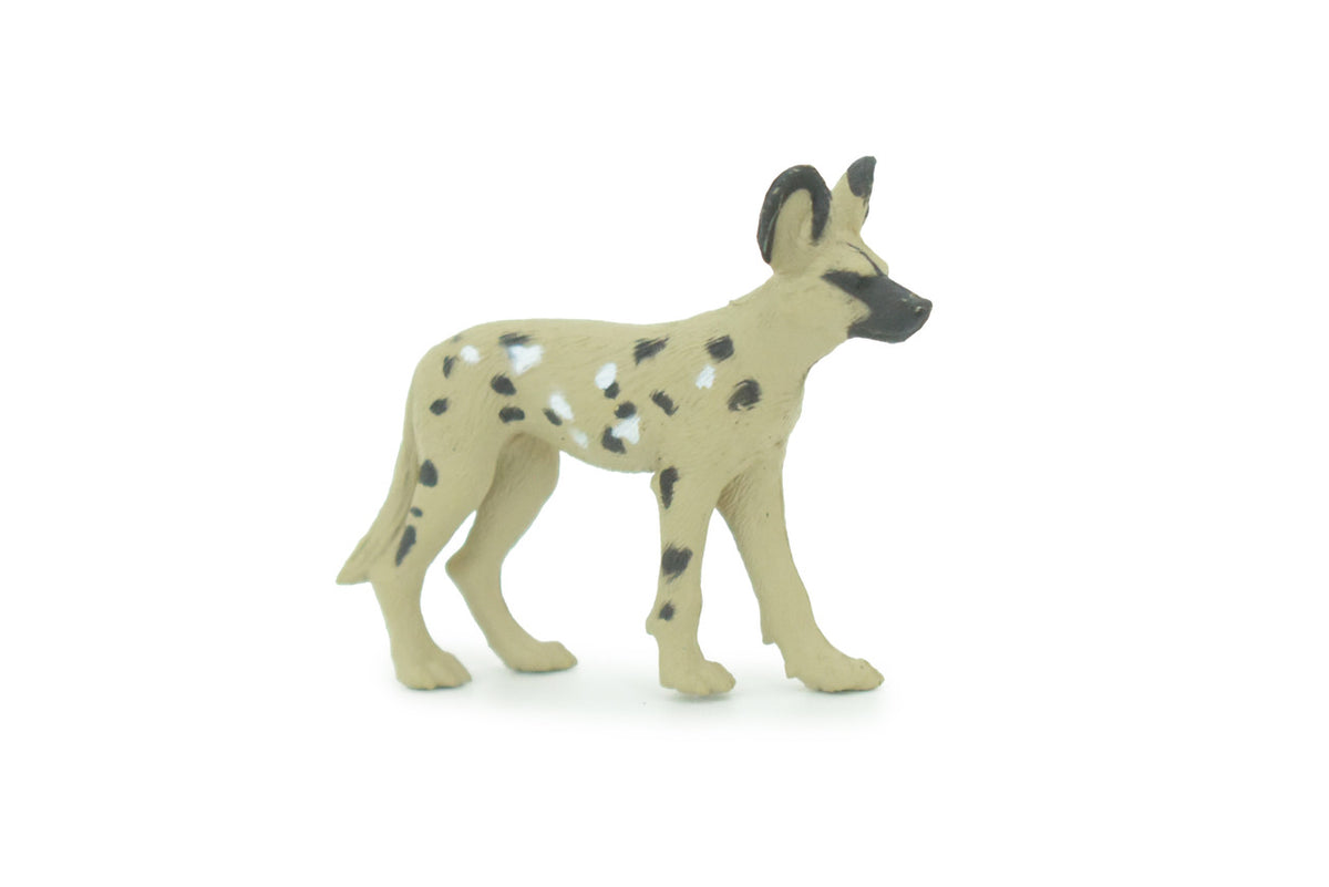 African Wild Dog, Painted Wolf, African Hunting Dog, Hand Painted, Educational, Rubber Animal, Realistic Figure, Lifelike, Gift,    2 "   SF29 B45