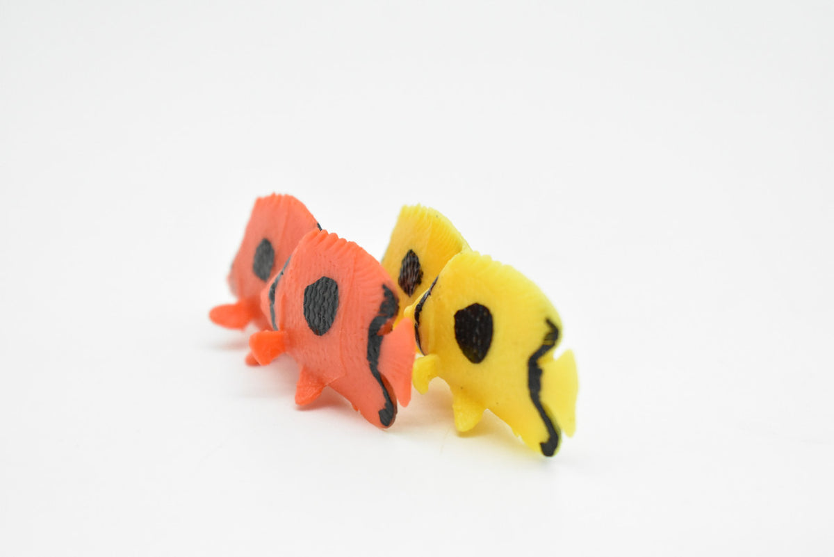 Tropical Fish Toy, Set of 2, Model, Figure, Figurine, Very Nice Quality Rubber Replica, Hand Painted     2"    CWG216 BB46