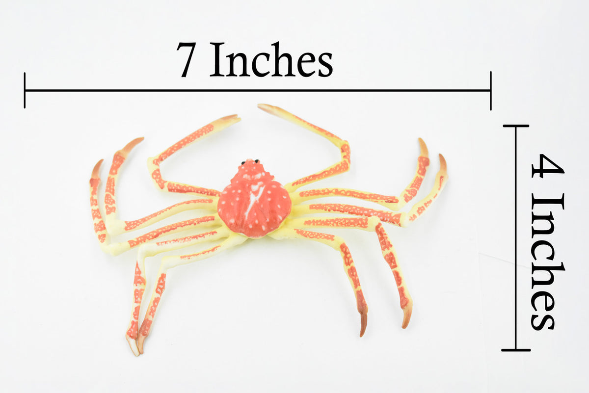 Crab, Spider Crab, Museum Quality, Hand Painted, Rubber Crustaceans, Realistic Toy Figure, Model, Replica, Kids, Educational, Gift,    7"    CH271 BB124