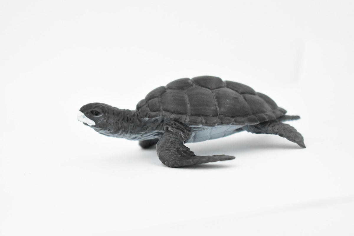 Turtle, Dark Green Sea Turtle, Museum Quality, Hand Painted, Rubber  Reptile, Realistic Toy Figure, Model, Replica, Kids, Educational, Gift,    4"     CH250 BB123