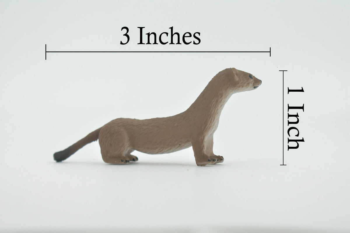 Fisher, Museum Quality, Hand Painted, Rubber Animal, Realistic, Figure, Model, Replica, Toy, Kids, Educational, Gift,      3"      CH534 BB159