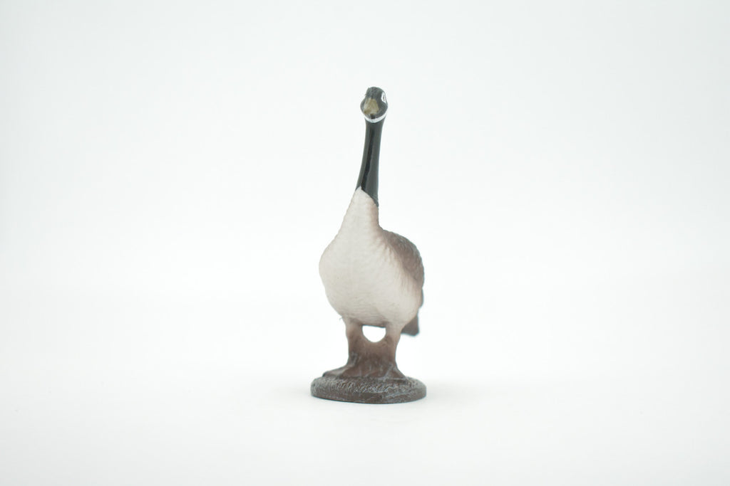 Bird, Canada Goose, Honker, Museum Quality, Hand Painted, Rubber, Educational, Realistic, Figure, Model, Replica, Toy, Kids, Educational, Gift,    3"   CH640 BB168