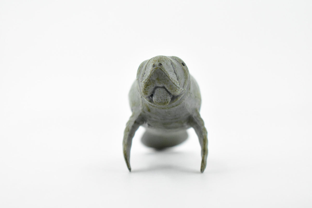 Manatee, Sea Cow, Dugongs, Marine Mammal, Museum Quality, Hand Painted, Educational, Rubber, Diorama Model, Realistic Toy Figure, Kids, 3 1/2 Inches.  