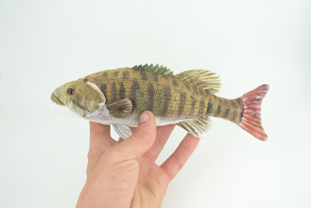 Smallmouth Bass, Realistic Stuffed Plush Fish, Bronzeback, Brown bass, Smallie, Bronze Bass, Small Mouth, Educational, Toy, Kids, Gift, 10 Inches. CC199 BB61