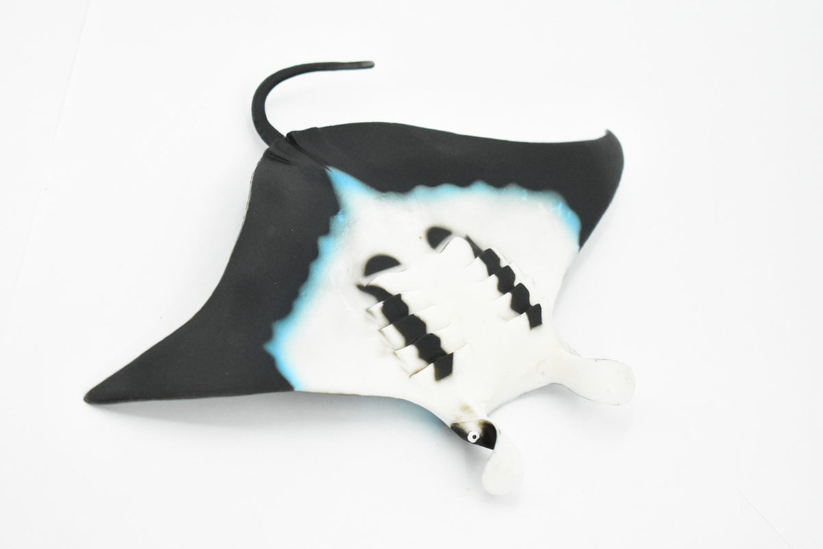 Manta Ray, Devil Fish, Museum Quality, Educational, Rubber Fish, Hand Painted, Realistic Toy Figure, Diorama Model, Kids,  9 Inches. 