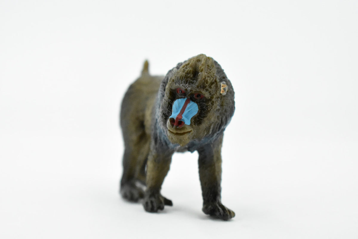 Mandrill, Baboons, Museum Quality, Hand Painted, Rubber Animal, Realistic Toy Figure, Diorama Model, Kids, Educational,  2 1/2 Inches.