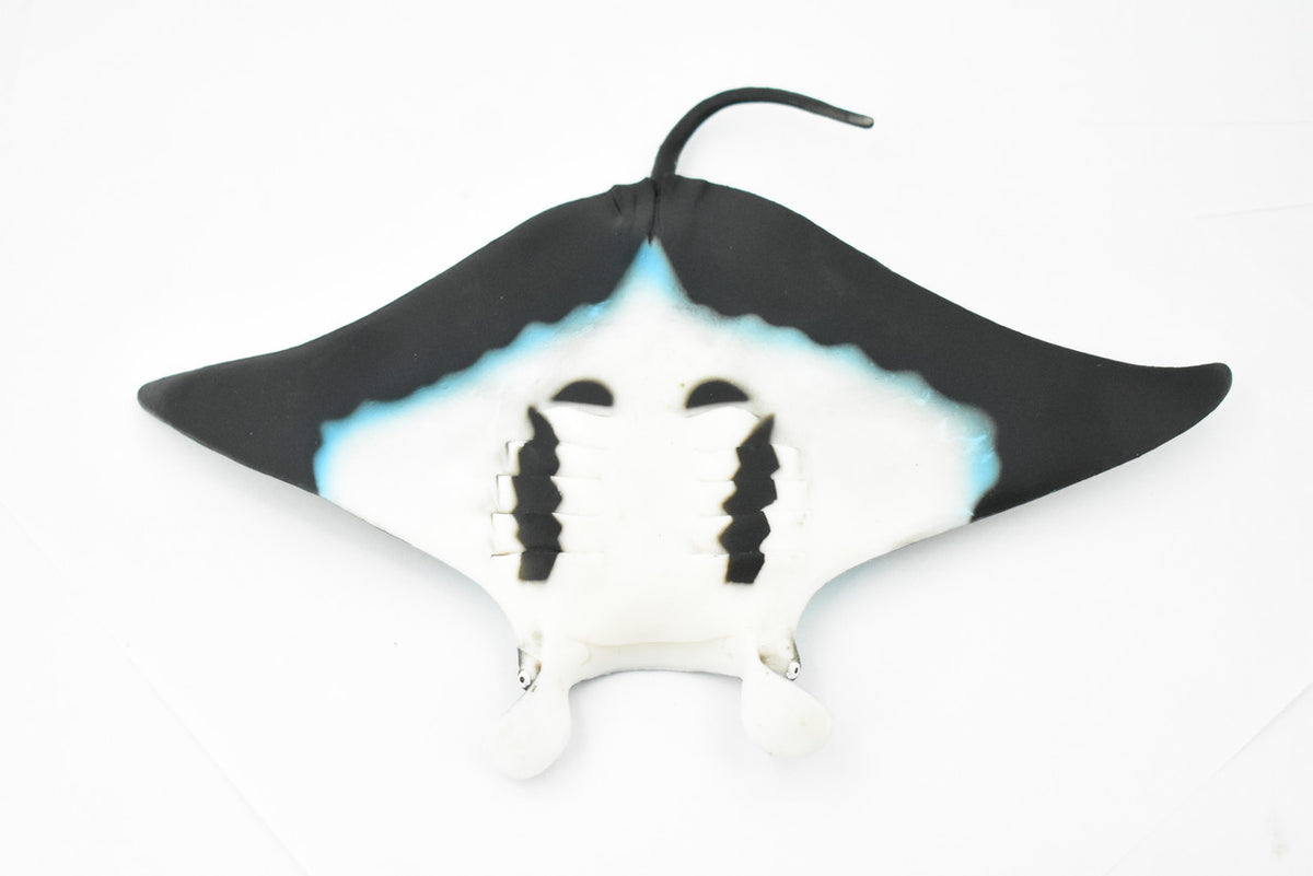 Manta Ray, Devil Fish, Museum Quality, Educational, Rubber Fish, Hand Painted, Realistic Toy Figure, Diorama Model, Kids,  9 Inches. 