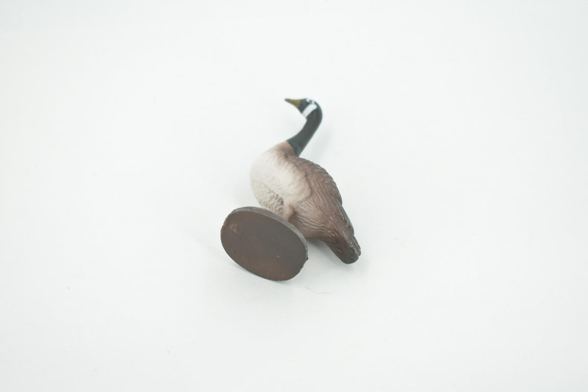 Bird, Canada Goose, Honker, Museum Quality, Hand Painted, Rubber, Educational, Realistic, Figure, Model, Replica, Toy, Kids, Educational, Gift,    3"   CH640 BB168