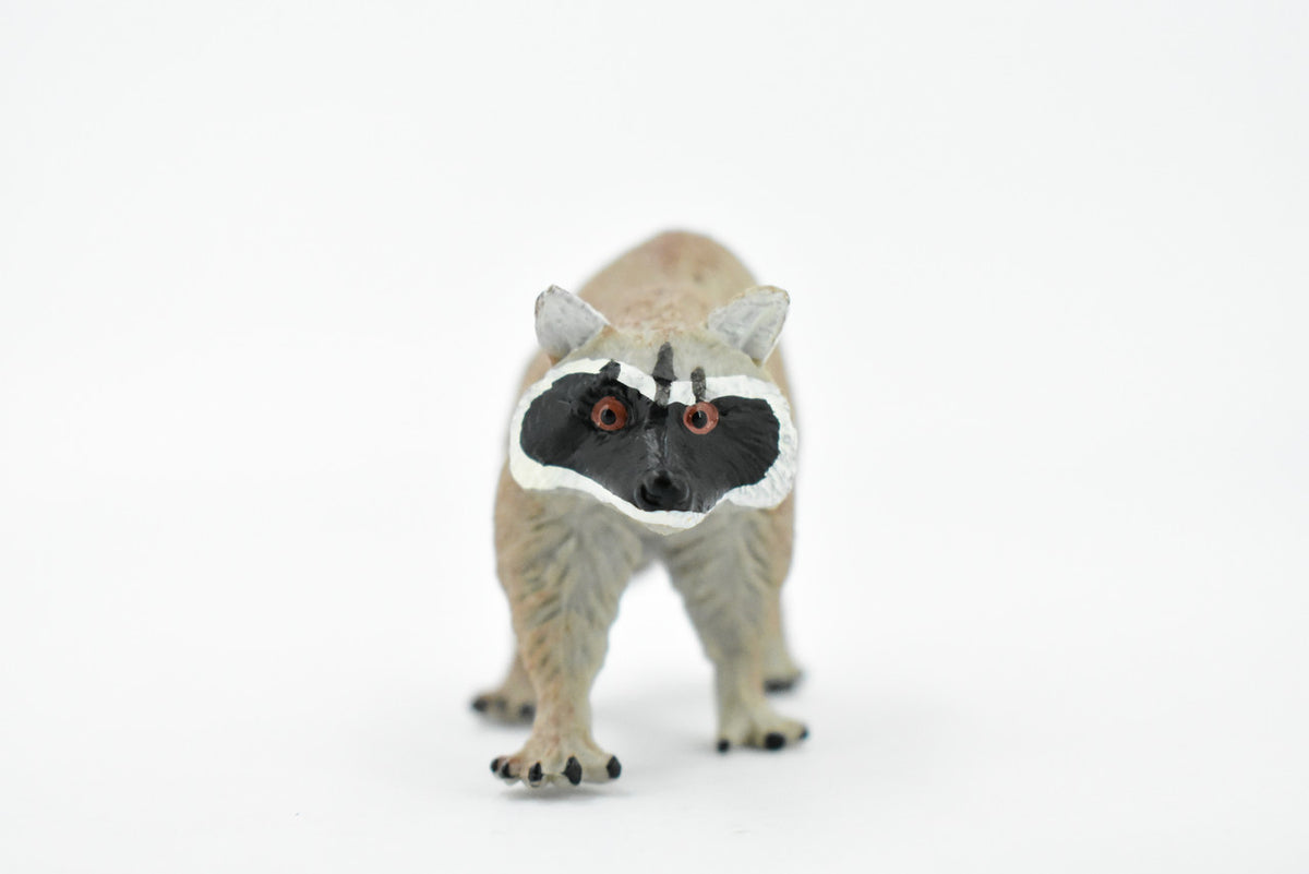 Raccoon, Racoon, Trash panda, Museum Quality, Hand Painted, Rubber Mammal, Realistic Toy Figure, Replica, Kids, Educational, 4 Inches.