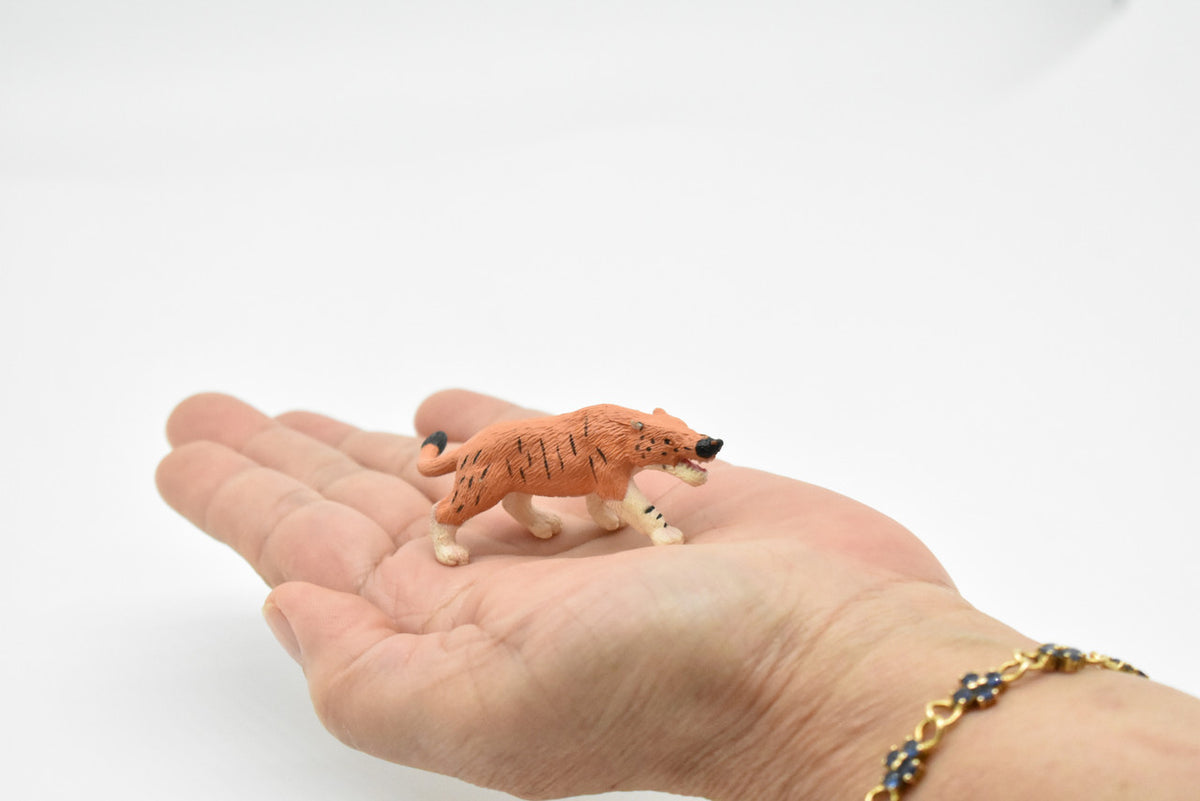 Andrewsarchus, Ancient Mammal, Educational, Realistic, Diorama Figure, Lifelike Rubber Model, Gift,   2 1/2 Inches.