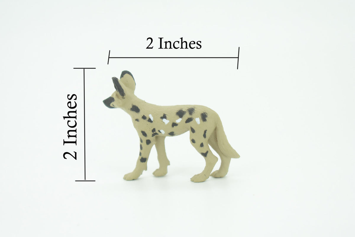 African Wild Dog, Painted Wolf, African Hunting Dog, Hand Painted, Educational, Rubber Animal, Realistic Figure, Lifelike, Gift,    2 "   SF29 B45