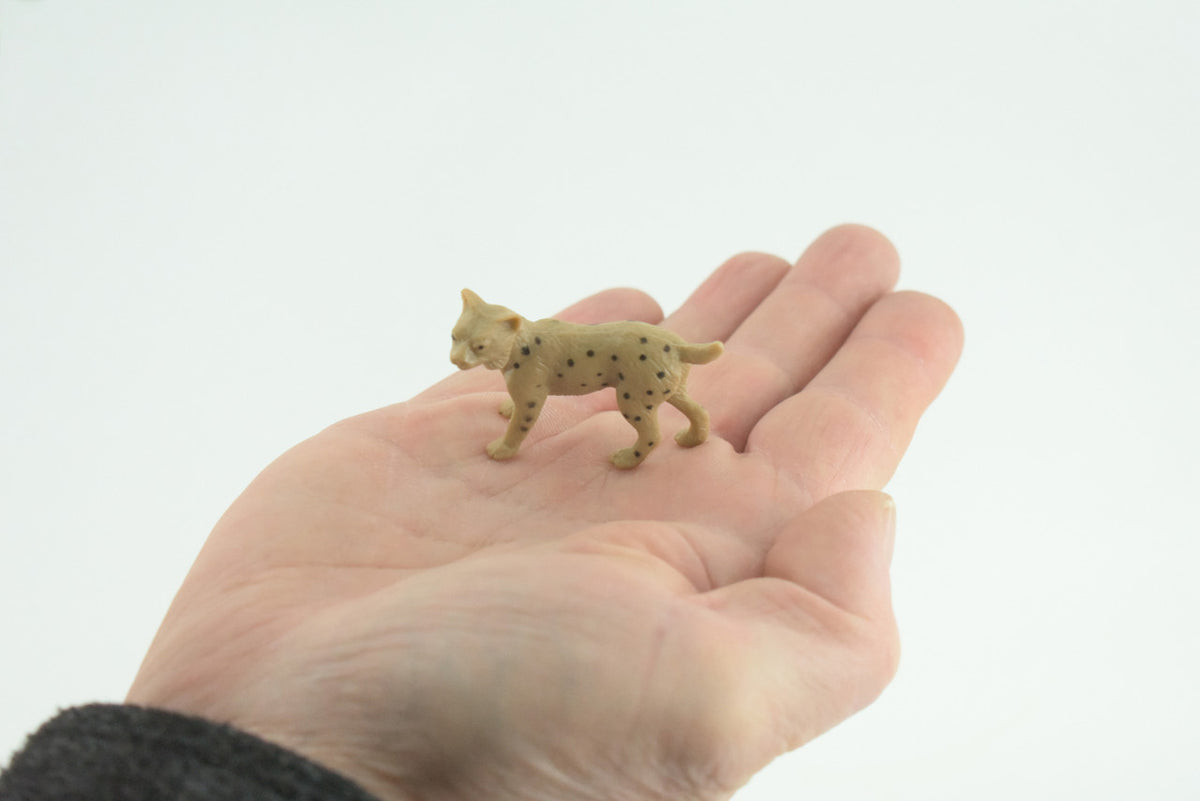 Bobcat, Cub, Nice Rubber Animal, Educational, Realistic Cat, Hand Painted, Figure, Lifelike Model, Figurine, Replica,  2 Inches  