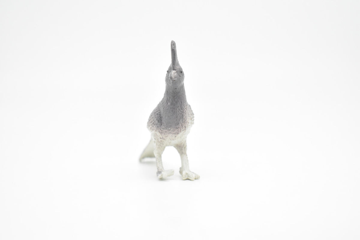 Cassowary Bird, Cassowaries, Very Nice Rubber Reproduction    3"     F618 B124