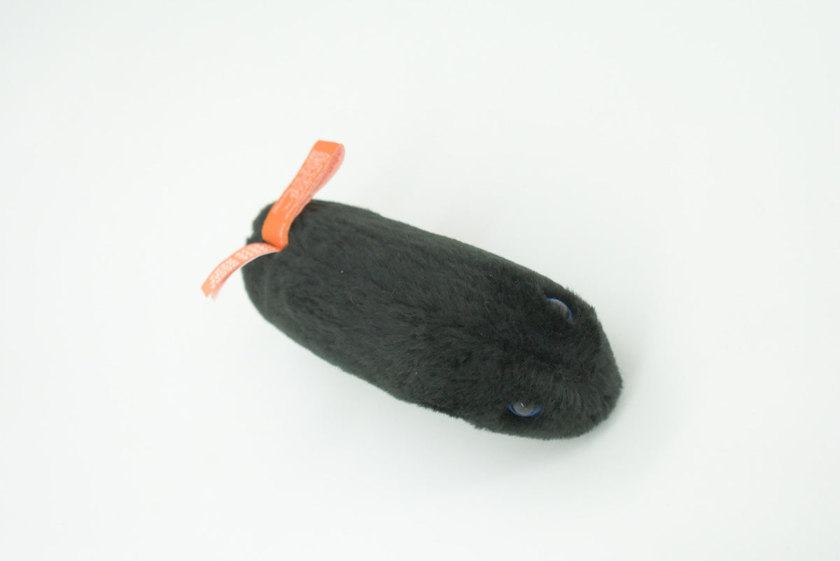 Black Death, Bubonic Plague, Black Plague Virus, Plush Design, Educational, Figure, Replica, Gift,     6"     F3658 B92