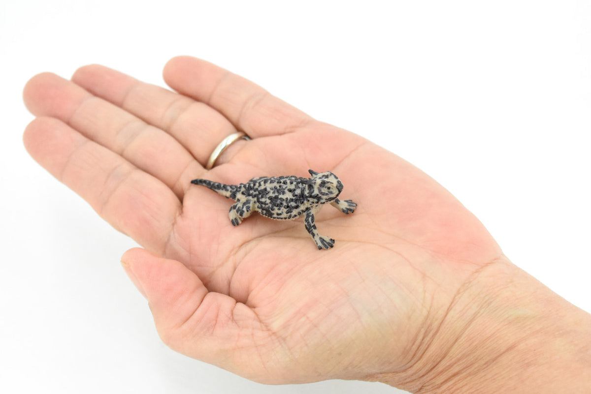Horned Toad, Horny Toad Lizard, Rubber Reptile, Hand Painted, Educational, Realistic, Figure, Lifelike Model, Replica, Gift,    2 1/4 Inches 