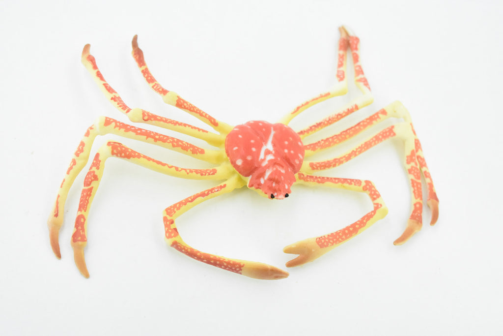 Crab, Spider Crab, Museum Quality, Hand Painted, Rubber Crustaceans, Realistic Toy Figure, Model, Replica, Kids, Educational, Gift,    7"    CH271 BB124
