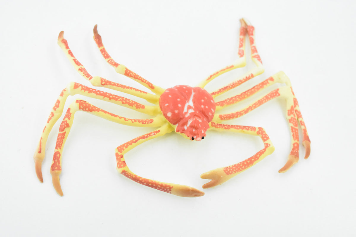 Crab, Spider Crab, Museum Quality, Hand Painted, Rubber Crustaceans, Realistic Toy Figure, Model, Replica, Kids, Educational, Gift,    7"    CH271 BB124