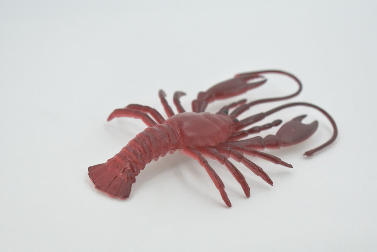 Lobster, Crayfish, Crawdad Design, Red, Museum Quality, Rubber Crustaceans, Educational, Figure, Lifelike, Model, Replica, Gift,     4"     F0023 B22