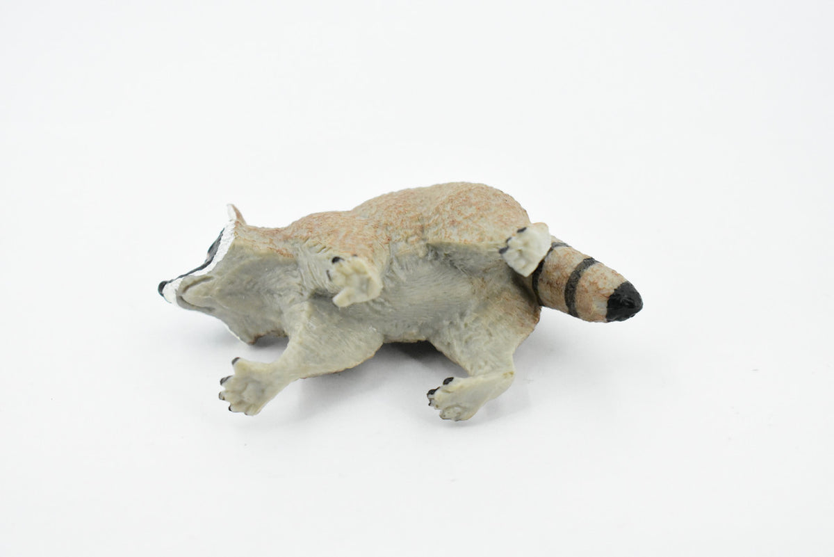 Raccoon, Racoon, Trash panda, Museum Quality, Hand Painted, Rubber Mammal, Realistic Toy Figure, Replica, Kids, Educational, Gift,    4 Inches.  CH337 BB134