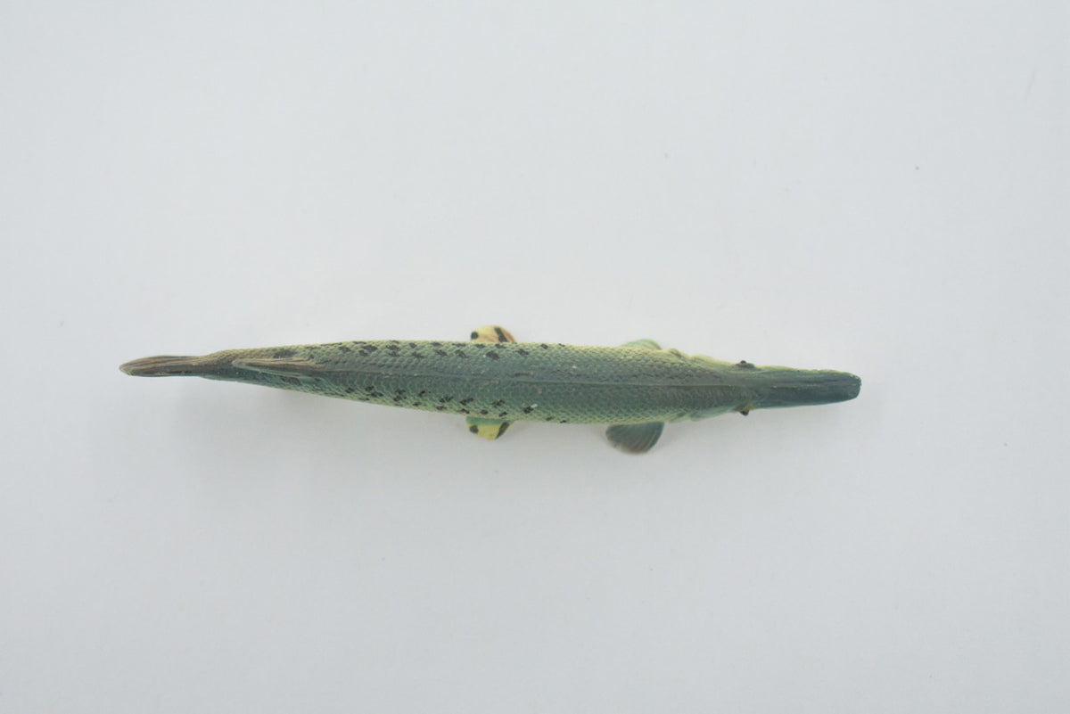 Fish, Alligator Gar, Freshwater, High Quality, Rubber Fish, Hand Painted, Realistic, Figure, Model, Replica, Toy, Kids, Educational, Gift,      3 1/2"       F3446 B88