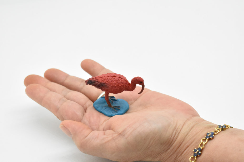 Ibis, Scarlet, Very Nice Plastic Reproduction    2"     F3012 B109