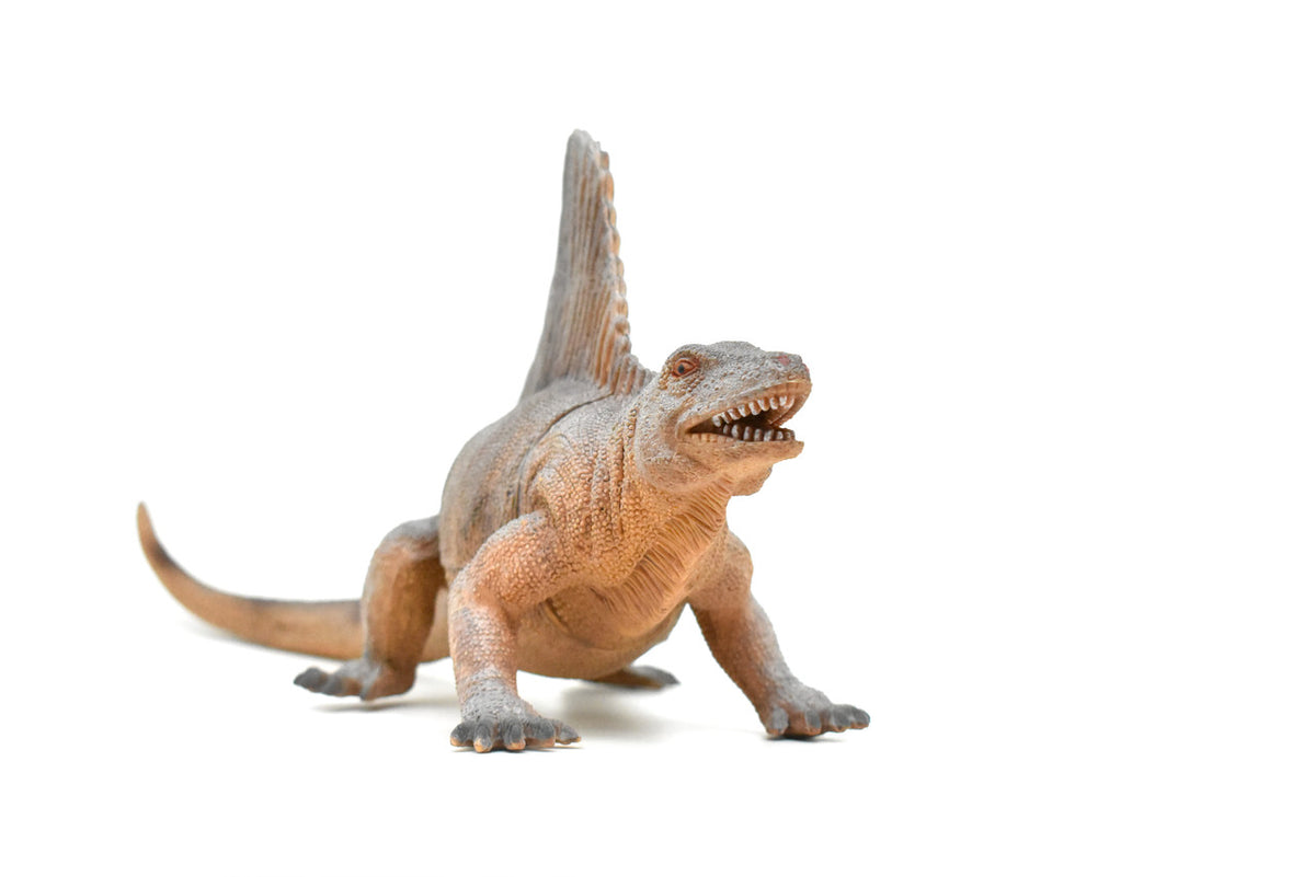 Dimetrodon, Permian period, Dinosaur, Museum Quality, Realistic, Educational, Hand Painted, Lifelike Design, Diorama Model, Replica, Toy, Gift     14 Inches       CWG153 BB29