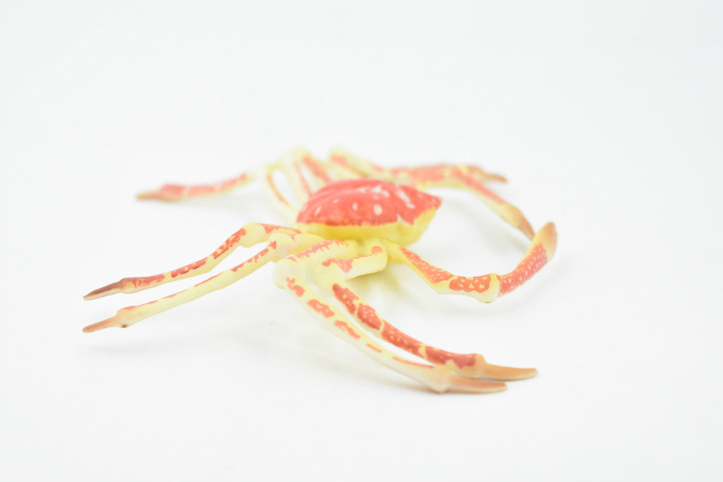 Crab, Spider Crab, Museum Quality, Hand Painted, Rubber Crustaceans, Realistic Toy Figure, Model, Replica, Kids, Educational, Gift,    7"    CH271 BB124