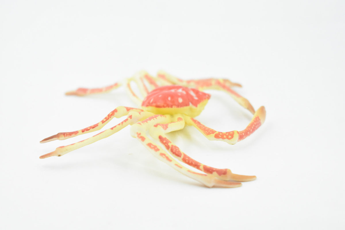 Crab, Spider Crab, Museum Quality, Hand Painted, Rubber Crustaceans, Realistic Toy Figure, Model, Replica, Kids, Educational, Gift,    7"    CH271 BB124